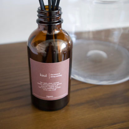 fragrance diffuser kaul | 150ml